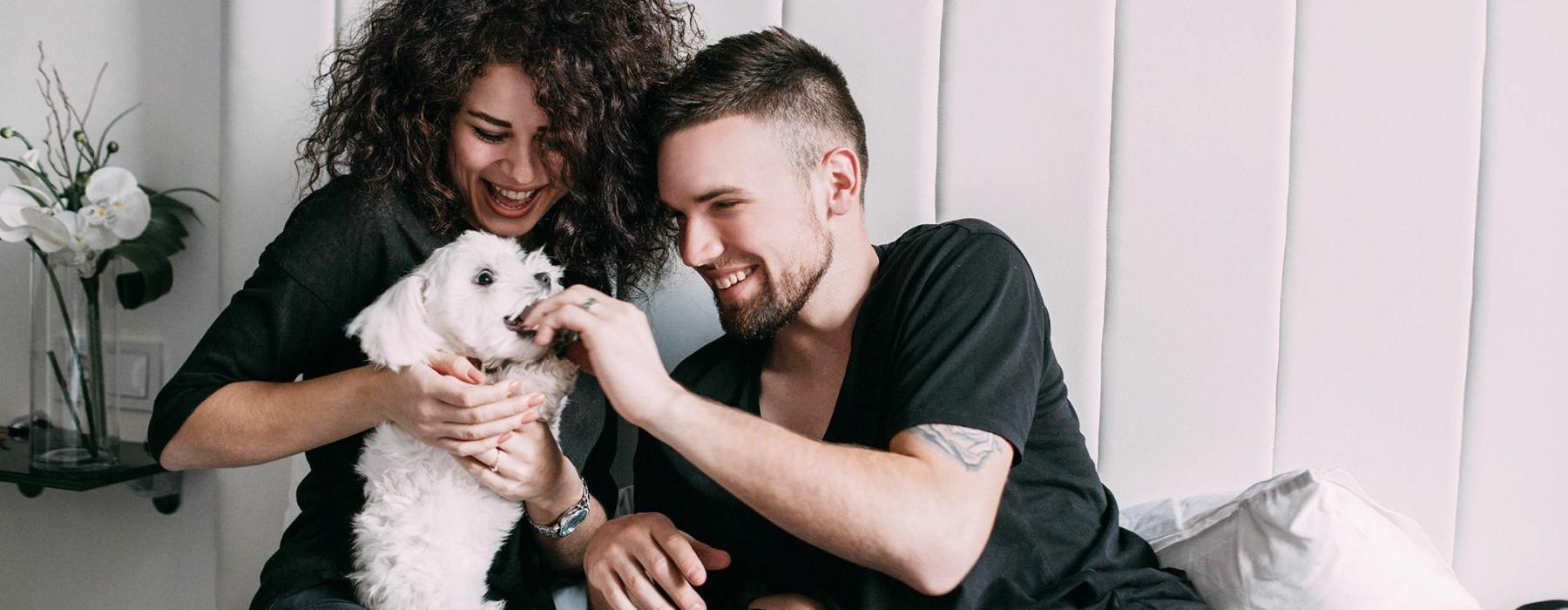 a man and woman sitting on a bed playing with a dog